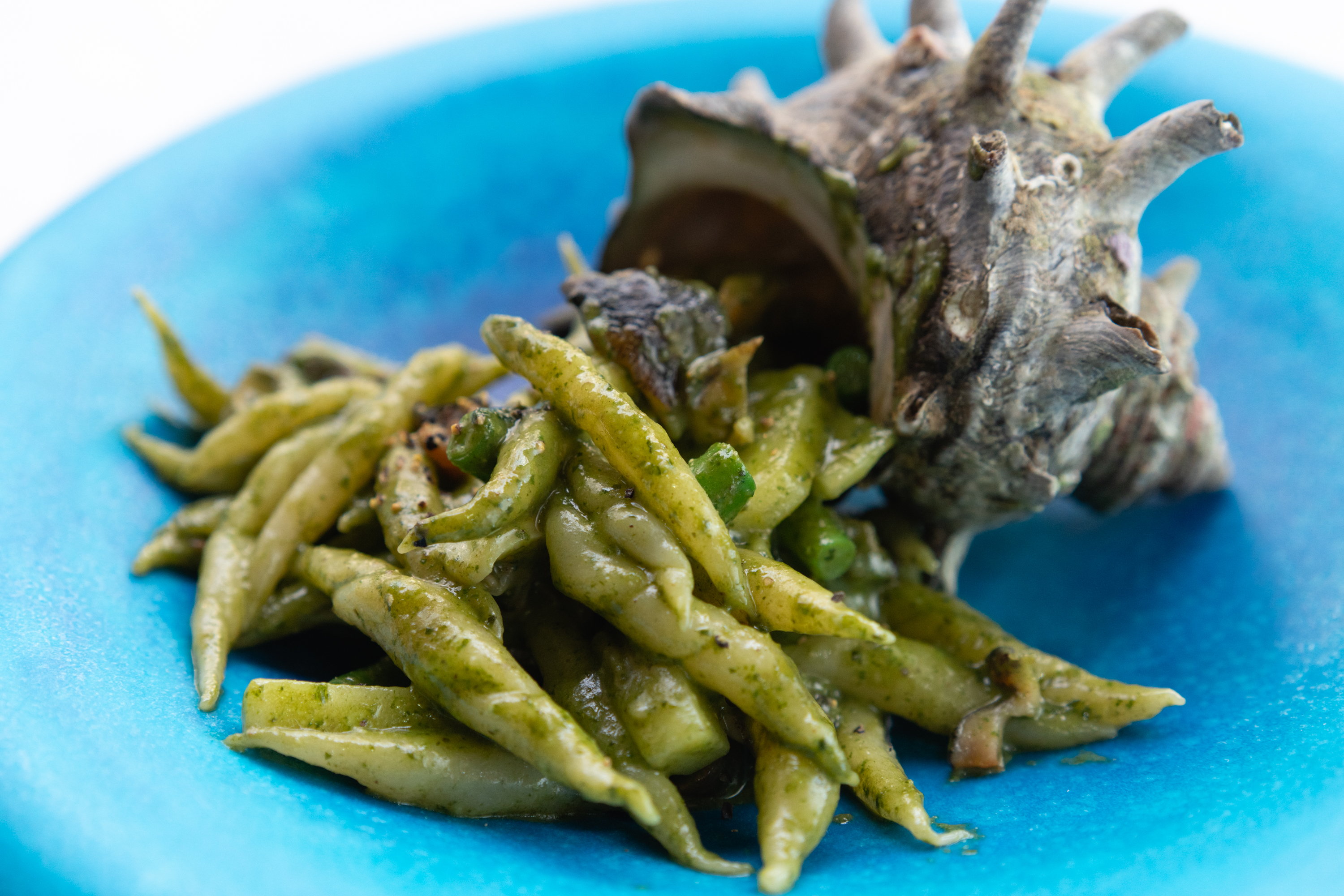 ペスト・アッラ・ジェノベーゼとは？バジル香る伝統ソースの世界