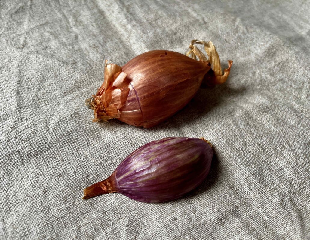 エシャロットとは？おすすめの食べ方とエシャレットとの違い