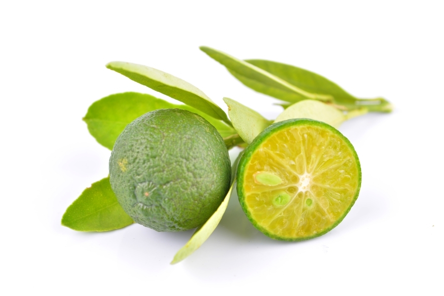 カラマンシーとは？東南アジアの奇跡の柑橘を徹底解説