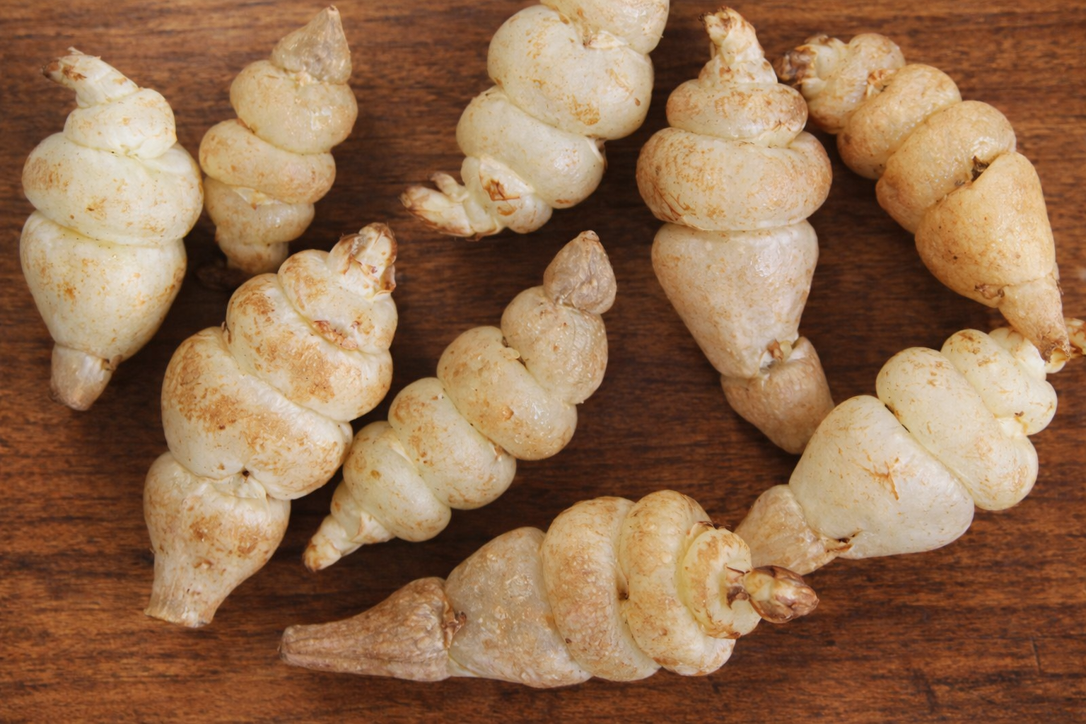 チョロギとは？おせちに欠かせない縁起物の正体と魅力