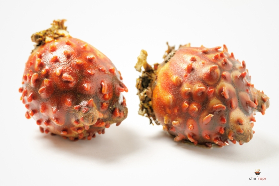 ホヤとは？海のパイナップルと呼ばれる珍味の魅力を徹底解説