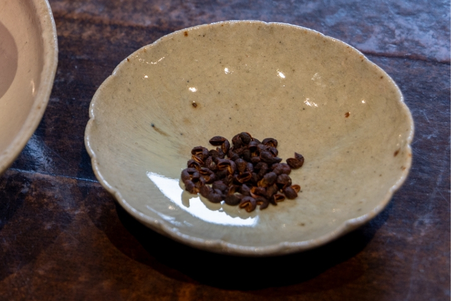 ティムットペッパーとは？ネパール原産、希少なスパイスの世界