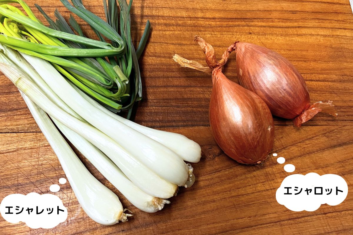 エシャロット 代用: エシャロット 玉ねぎ 違い | フランス料理の必須アイテム！エシャロットの魅力と使い方 – UROTAM