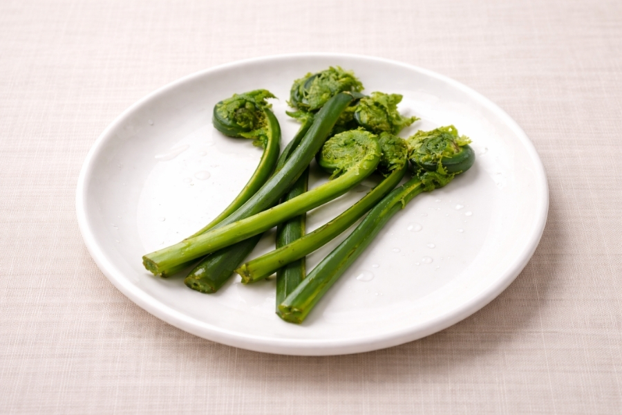 こごみとは？古くから続く山菜の魅力と特徴を解説