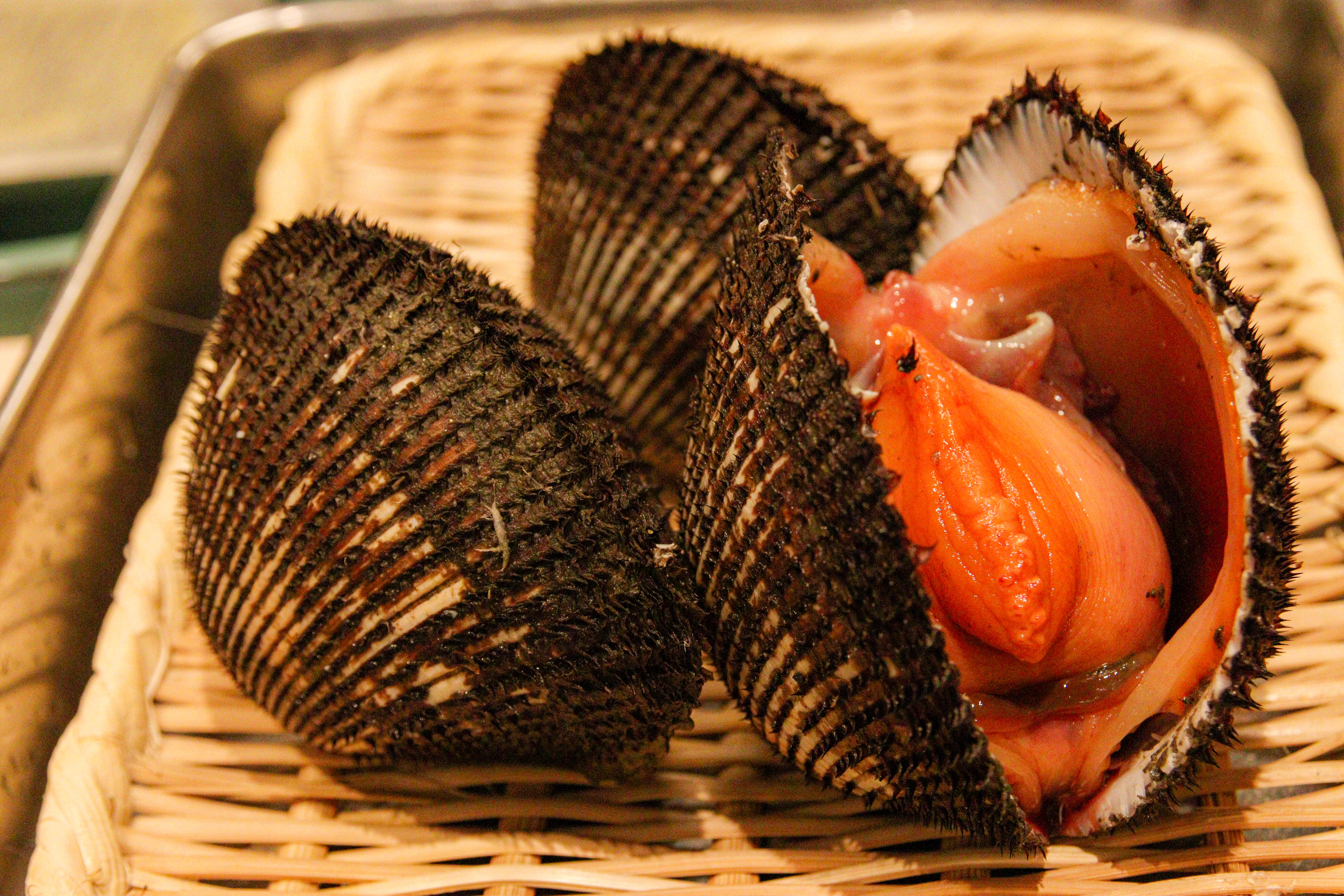 赤貝とは？江戸前寿司を支える赤い宝石の魅力