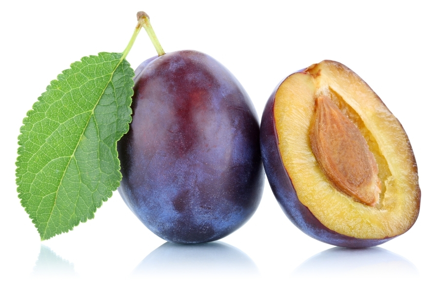 プルーンとは？古代から宇宙へ続く果実の物語