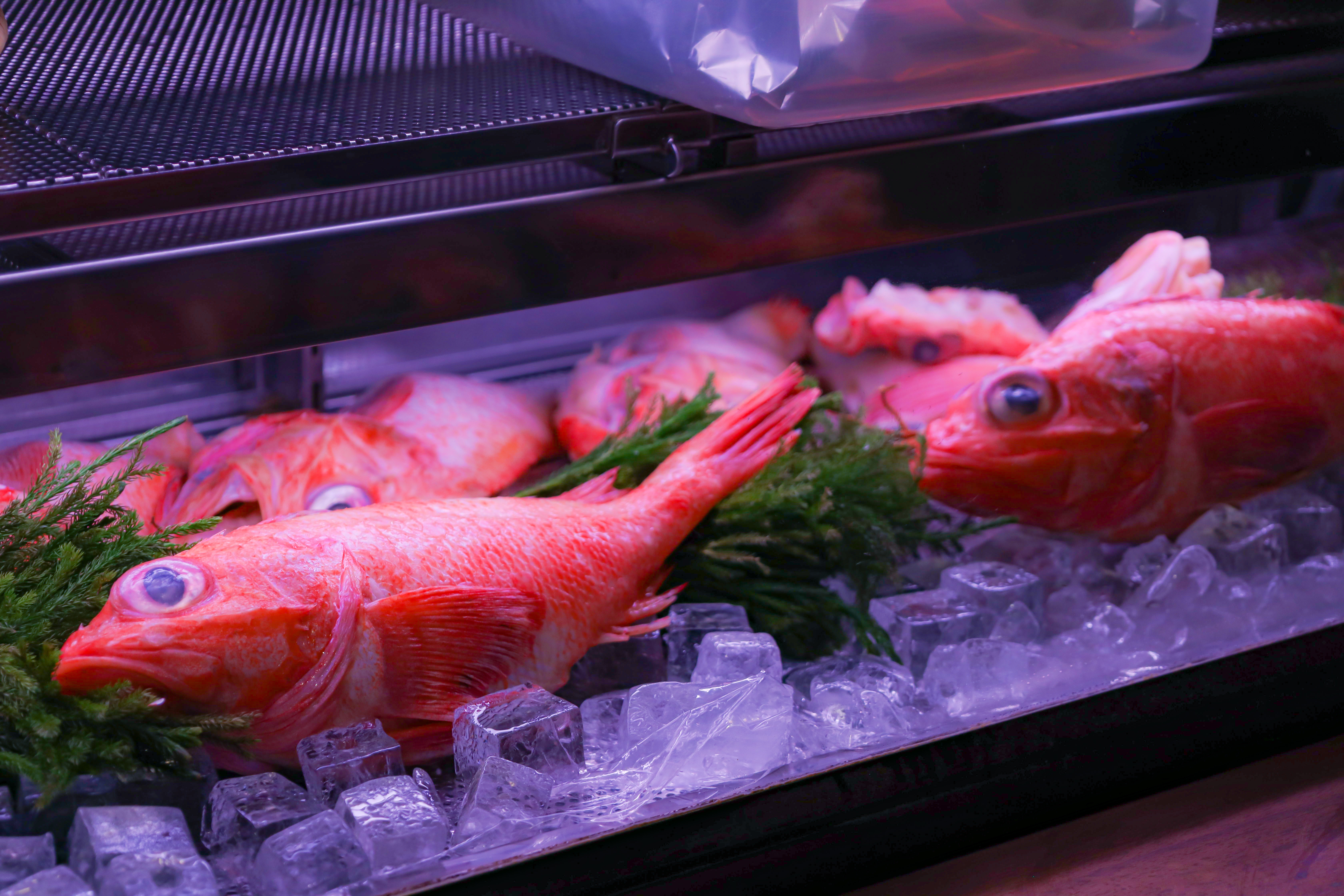 きんきとは？深海の宝石が紡ぐ冬の味わい